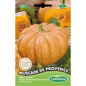 Germisem EC4004 Muscade de Provence Pompoen Zaden 3 g