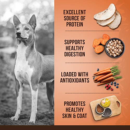 Zoë Dry Dog Food, Medium Breed, Turkey/Chickpea/Sweet Potato Recipe, 5 kg, 92927 image 6