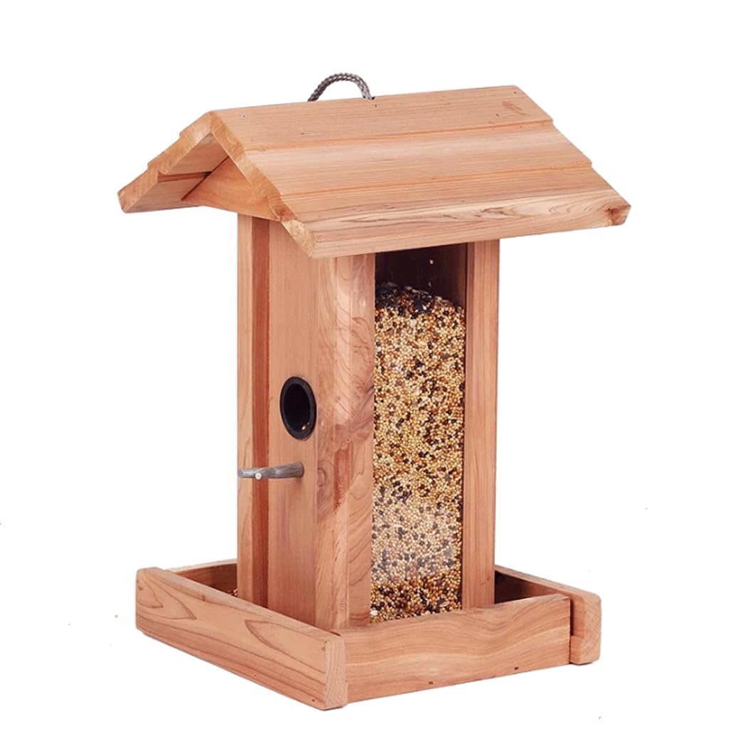 Karmnik dla ptaków Vogelvoederhuis Eekhoornbestendig Vogelkantine Weerbestendig Transparant Vogelvoeder voor Mix Seed Blends Tuinbalkon