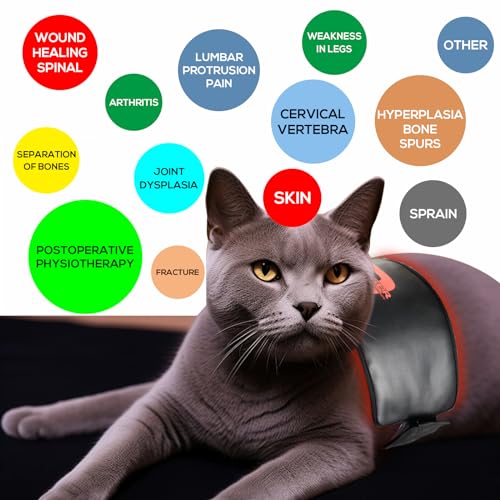 Image of Vicmama Red Light Therapy Belt for Pets,Portable Wearable Red Light Therapy Device for Dogs Pain Relief Tissue Repair Muscle & Joint Pain A1
