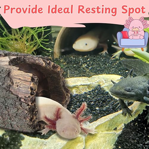 Image of 1pcs Axolotl Hides for Aquarium with 2pcs Nitrifying Ball Set, Driftwood Axolotl Cave Hideout and Aquarium Filter Balls, Fish Tank Decor, Shelter for Small Pet Frog Fish Betta (Resin Driftwood, M)