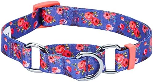 Blueberry Pet Spring Scent Inspired Rose Print Martingale Safety Training Dog Collar, Irish Blue, Small, Heavy Duty Adjustable Collars for Dogs