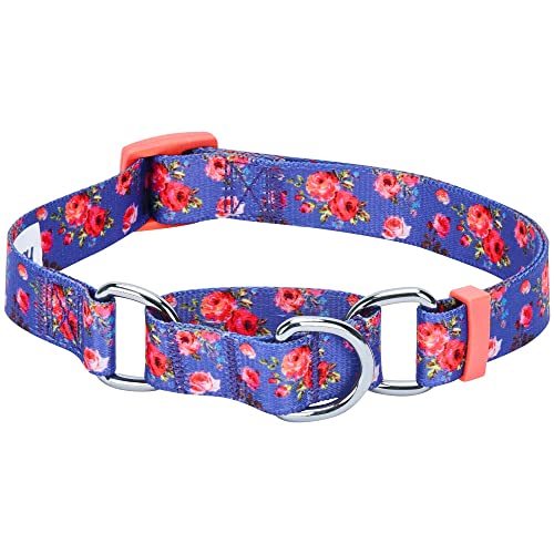 Blueberry Pet Spring Scent Inspired Rose Print Martingale Safety Training Dog Collar, Irish Blue, Small, Heavy Duty Adjustable Collars For Dogs #TOP5