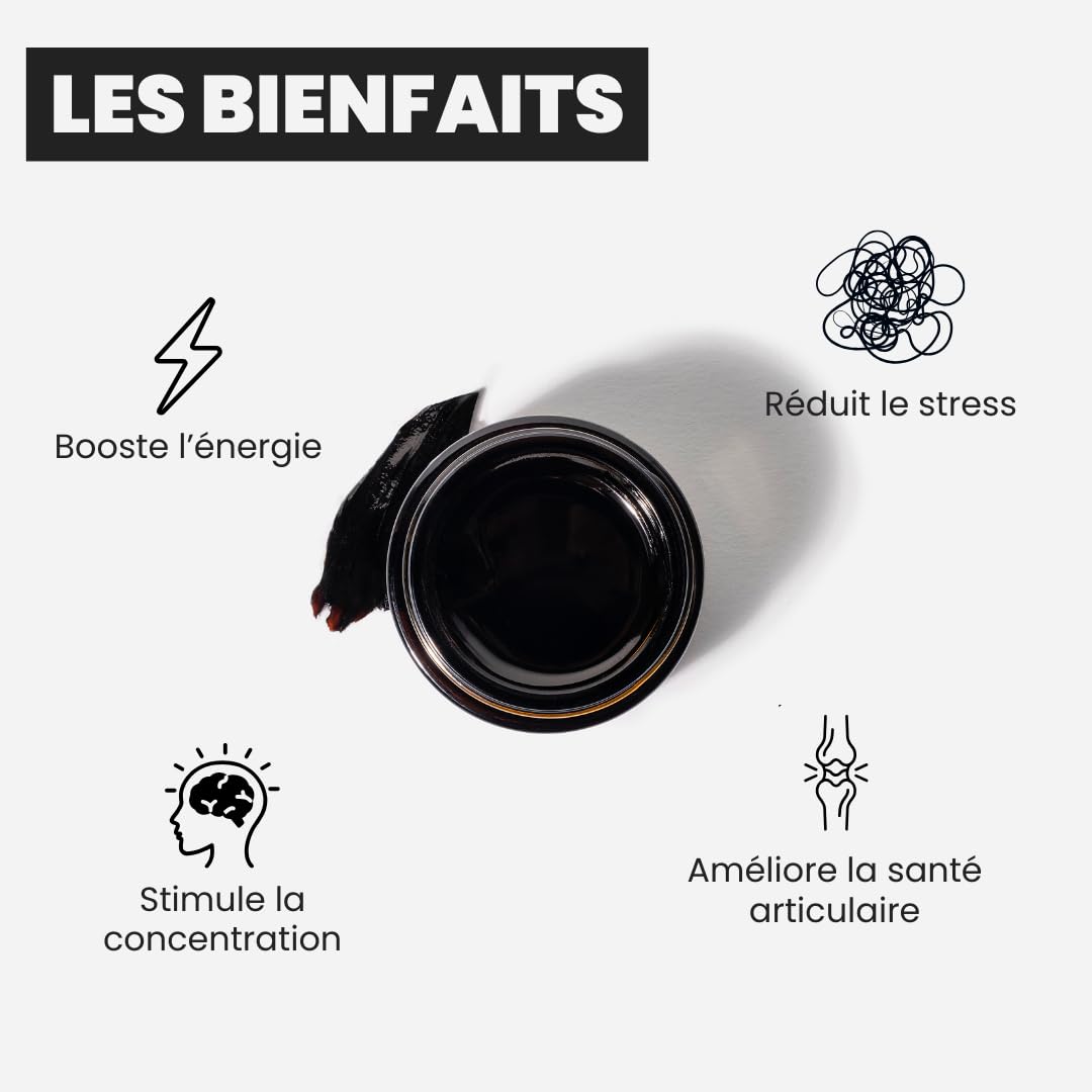 Shilajit Primal, Résine de Shilajit 100% Pure de l’Altaï, Qualité Premium, 79% d’Acide Fulvique, 85+ Minéraux & Acides Humiques, Complément Alimentaire Homme & Femme (30 g)