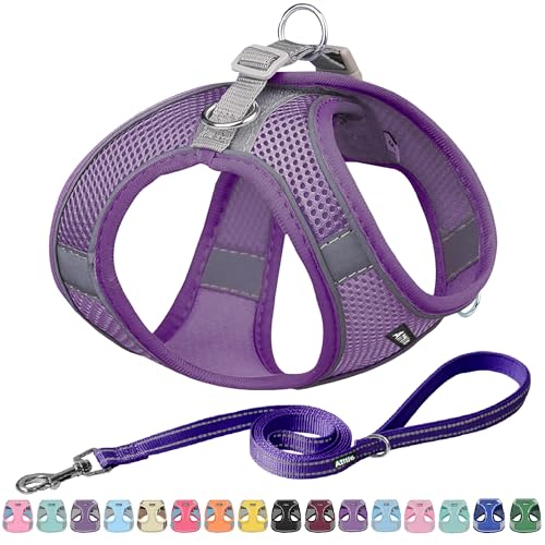 AIITLE Kleines Geschirr mit Leine - Hundeweste mit super atmungsaktivem Mesh, reflektierendes Welpengeschirr für Spaziergänge im Freien für kleine Hunde, Katzen Reines Lila XXS