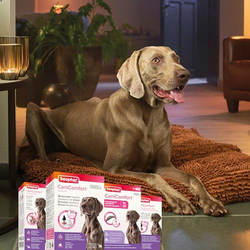 Beaphar Canicomfort Hundehalsband, beruhigend mit Pheromonen, 1 Stück, 65 cm