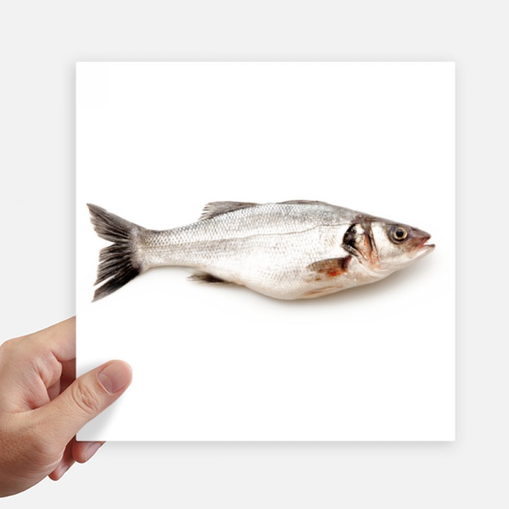 Stickers de peces océano DIYthinker de 20cm vinilos cuadrados para pared y maleta pack de 4