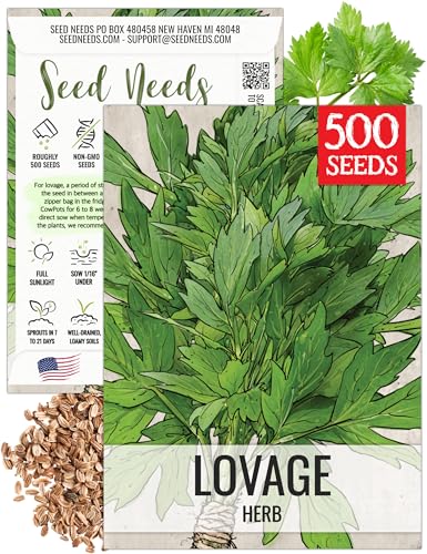 Seed Needs Lovage Seeds for Planting - Non-GMO Heirloom & Untreated Herbs to Plant a Medicinal/Culinary Home Grown Herb Garden Indoors or Outdoors (1 Pack)