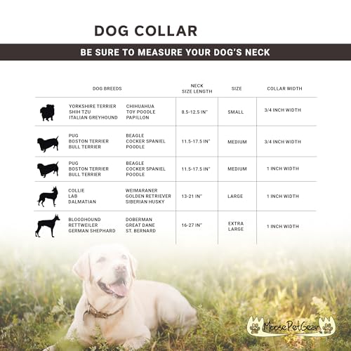 Image of Dog Collar - Colored Adjustable Pet Collars, 3 /4 Inch Wide, Medium, Forest Green