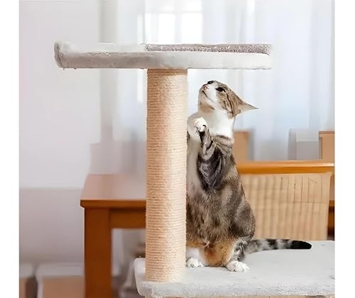 Rolo Corda De Sisal Natural 6mm 134 Metros Arranhador Para Gatos E Artesanato Em Geral