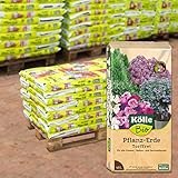 Kölle's Beste Pflanzerde, torffreie Pflanzenerde für alle Garten- und Balkonpflanzen, mit 1,5-Monate-Langzeitdünger, zum Topfen und Umtopfen, 30 Sack à 40 Liter Blumenerde