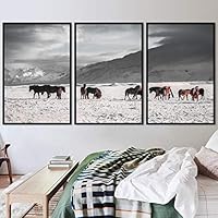 3 Piece Framed Canvas Wall Art On a Plain Field Animals Farmhouse/Country Fun Horse Living Room - 16
