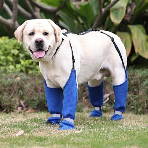 Hundepfotenstiefel-Leggings – Schneeschuhe, Hundepfotenschutzstiefel, Hundegeschirr für kleine bis XL | schmutzabweisend, rutschfest, mittelgroße Hunde, Winterstiefel, Rücken zu Rücken Hund,