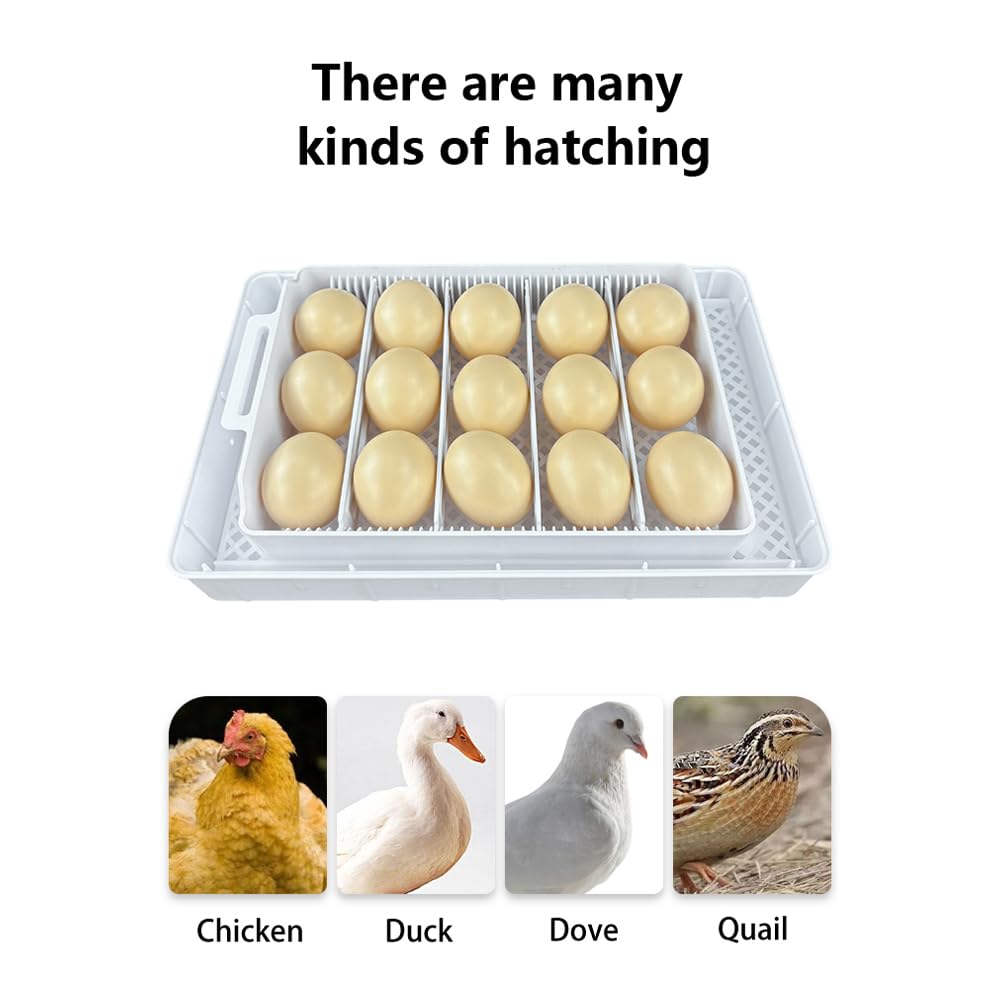 Añadir agua automáticamente 15 huevos de pollo pequeño incubadora de huevo con bandeja de huevo ajustable para la venta