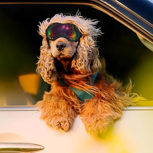 KUMSODE 1 Stück Hundebrille, Brille Hund UV-Schutz, Winddicht Hunde Brille, Sonnenbrille Hund mit Verstellbare Riemen, Hundesonnenbrille für Mittel Große Hunde, zum Autofahren,Outdoor-Aktivitäten