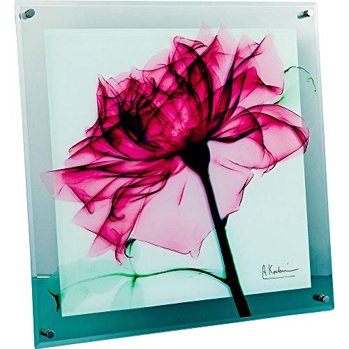 ユーパワー 植物 花 ローズ W30×H30×D2cm