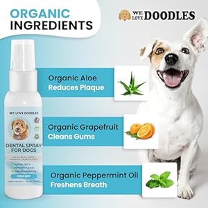 Welovedoodlesdogdentalsprayorganicdentalsolutionsplaquetartarcontrolspraynaturaloralcaredogforhealthyteethgumsfreshensbreathspray4oz Urban Country Home Decor We love doodles dog dental spray organic dental solutions plaque tartar control spray natural oral care dog for healthy teeth gums freshens breath spray 4oz urban country home decor