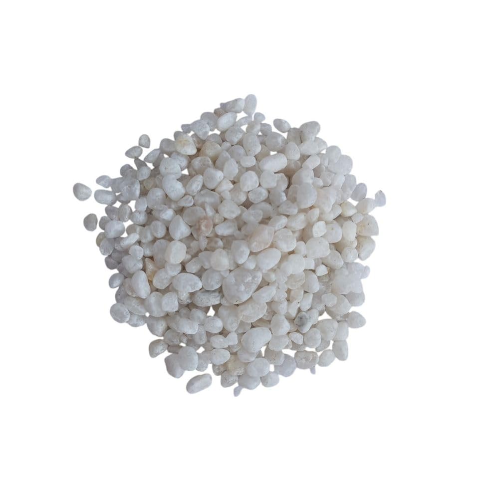 Rockora White Decorative Stones – Natural Polished Pebble Rocks for Gardens, Aquariums, Terrariums, Crafts, and Home Décor-image-40