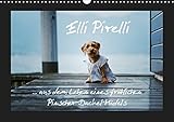 Elli Pirelli... aus dem Leben eines fröhlichen Pinscher-Dackel-Mädels (Wandkalender 2019 DIN A3 quer): ... aus dem Leben eines fröhlichen ... (Monatskalender, 14 Seiten ) (CALVENDO Tiere) - Kathrin Köntopp