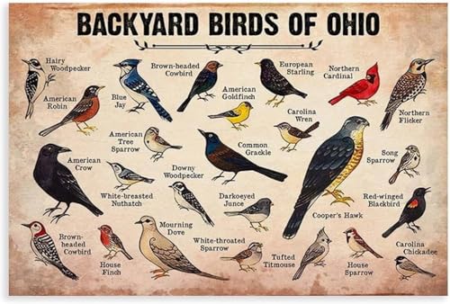 Vintage Poster Backyard Birds Of Ohio Room Aesthetics Poster Canvas