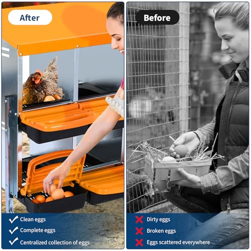 GarveeTech 10-Hole Poultry Nesting Box with Egg Collection Tray, Chicken Laying Box with Ventilation Design for Hens & Ducks, Ideal for Backyard Coops and Small Farms by GarveeTech - Image 5