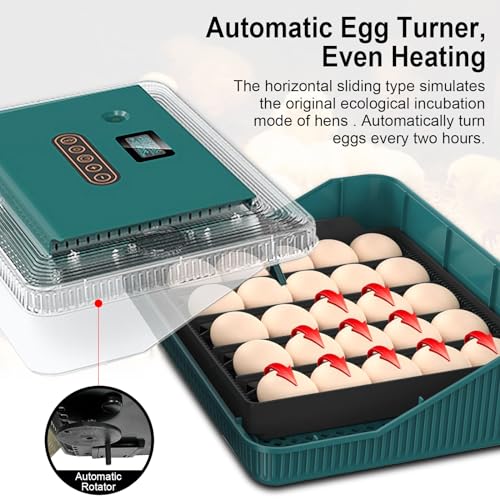 DAILNECESS Incubadoras para ovos para incubação, incubadora de 25 ovos com rotação automática de ovo