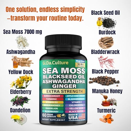 Gi.Da.Culture Organic Sea Moss Capsules (60 count) – Sea moss, bladderwrack & burdock blend — view 2