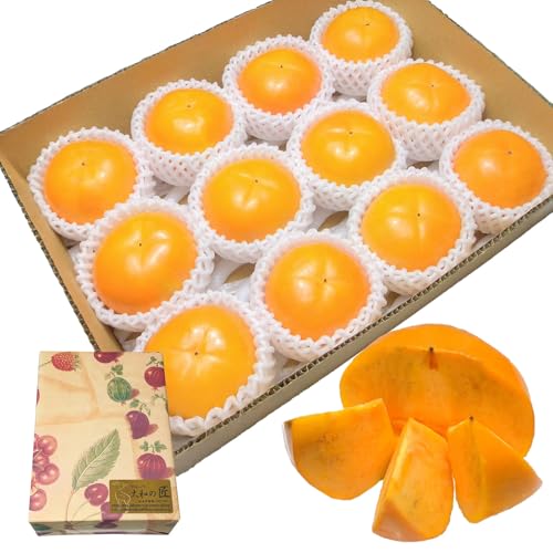 ޗǌY  xL` (ӂ`) [2LTCY12蔠] ƒp Ɨp Mtg v[g