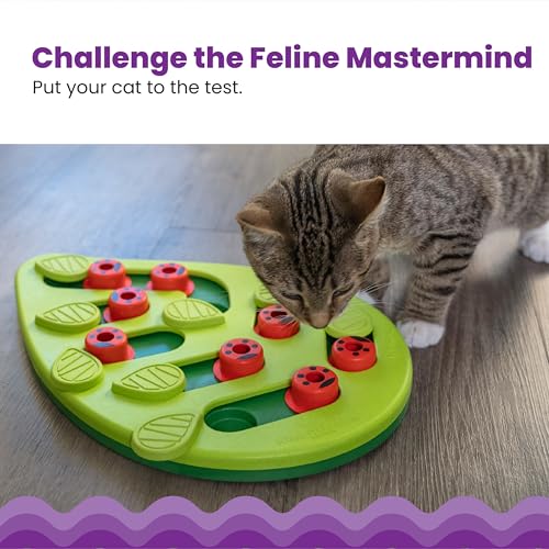 image for Catstages by Nina Ottosson Buggin Out Puzzle & Play – Interactive Tr