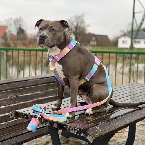 Spark Paws Premium Hundeleine und Kotbeutel-Set, robuster Haken aus Legierung für stark ziehende Rassen, bequem, langlebig und sicher - Pastel Icing