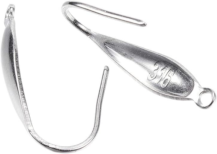 Craftdady Stainless Steel Fish Earring Hooks French Style Curved Earwire Connectors with Loop
