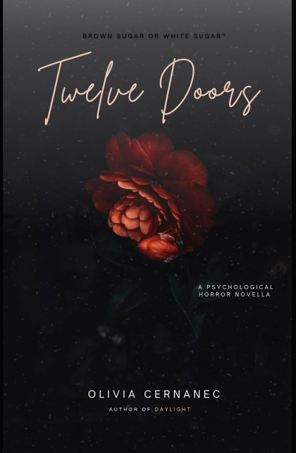 Twelve Doors: A Psychological Horror Novella (The Daylight Trilogy)