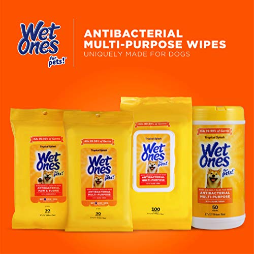 Image of Wet Ones for Pets Multi-Purpose Dog Wipes with Aloe Vera, 50 Count - 3 Pack | Dog Wipes for All Dogs in Tropical Splash, Wipes for Paws & All Purpose