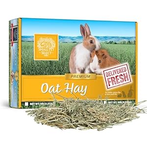 Small Pet Select Oat Hay Pet Food, 10 Lb.