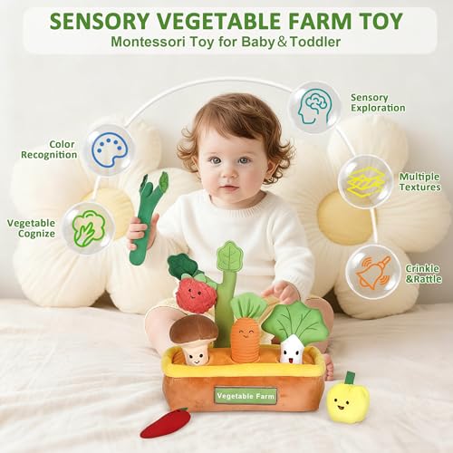 Image of Baby Toys 6-12 Months, My First Fruits Vegetables Color Shape Sorting Montessori Toys, Plush Crinkle Rattle Textures Sensory Toy for 1 Year Old Boys Girls, Toddler Valentines Day Easter Baby Gifts