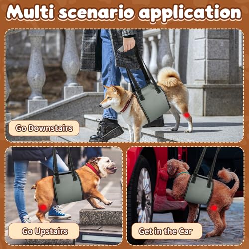 OHCOZZY Hundetragegurt mit Griff, verstellbares Hundegeschirr für die Rehabilitation, weiche Hunde tragehilfe für ältere, verletzte, behinderte Hunde,Größe M