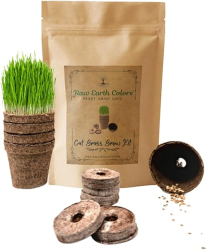 Hierba para gatos de interior - Kit de hierba para gatos con semillas