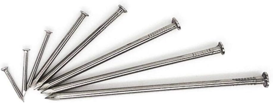 304 Stainless Steel Round Nails-2.0 inch (50mm) Stainless Steel 304 / kg (Color : 2.5 Inch (65mm) Stainless Steel 201/Jin)