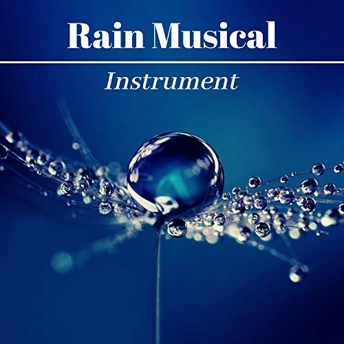 Rain Musical Instrument Relaxing Nature Sounds