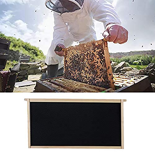 TeasyDay Beeswax Nest, Beekeeping Special Tool, Beehive 1 Frame Set, 43.5 CM Long, 23.5 CM Wide, 2.5 CM High
