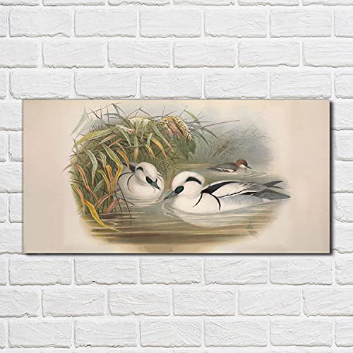Décoration tableau en verre acrylique 100x50cm impression murale oiseaux - 2