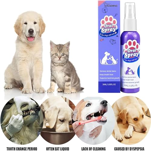 BODYA 2 piezas de 30 ml para perros y mascotas, spray para el cuidado bucal del mal aliento, limpieza de dientes, ambientador, eliminación de placas, limpiador de dientes de mascotas para perros y - imagen 3