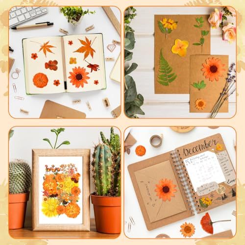120 flores secas prensadas para artesanías y decoración miniatura 5