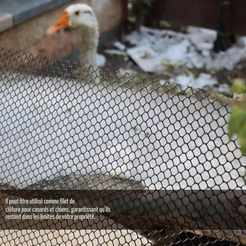 Filet polyvalent pour protection des arbres et plantes - 4