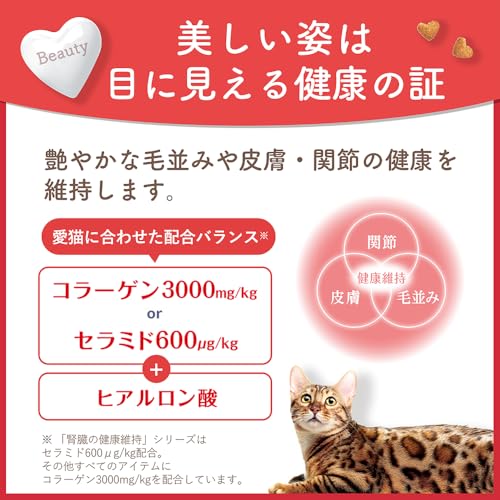 ビューティープロ キャットフード 成猫用 1歳から フィッシュ味 1.5kg