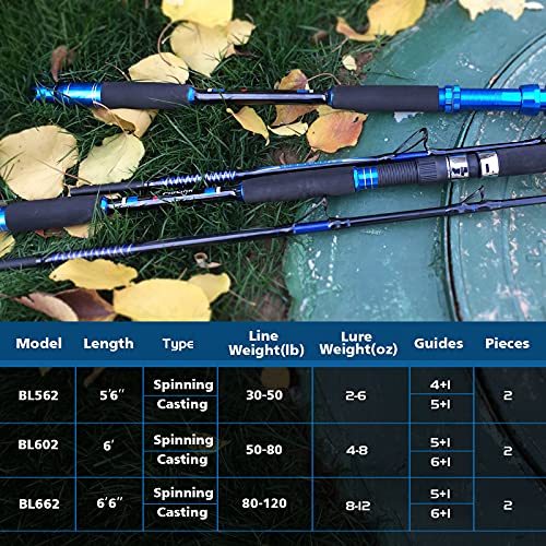 Fiblink Saltwater Fishing Rod Carbon Fiber Jigging Rod With 2 Piece Twin-Tip Spinning & Casting Portable Travel Fishing Jig Rod (Twin-Tip-5'6"-Spinning & Casting-2Pcs) #TOP6