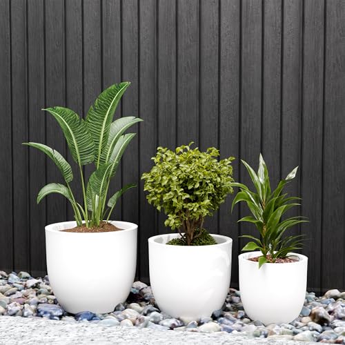 Image of YUCCABE ITALIA FOXB PCUP 17, 15, 12 Inch Pack of 3, Pots for Plants Highly Durable Polymers Lightweight Indoor Outdoor Flower Pot Gamla Tree Planter Container for Living Room, Balcony,Garden