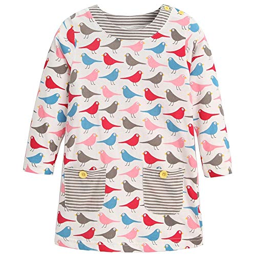 Frogwill Little Girls Long Sleeve Birdie Jersey Dresses Tunics 4T
