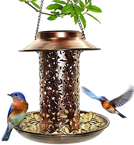 ++ Solar Vogelhaus Test - Gartenbau für Jederman - ganz einfach