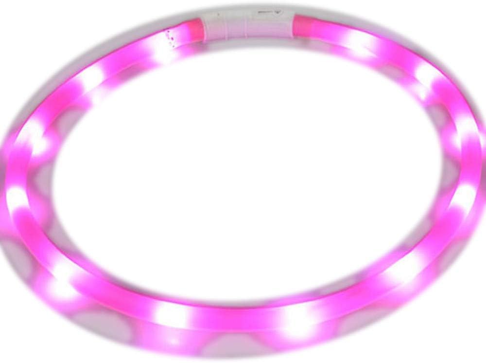 collare di recinzione con telecomando